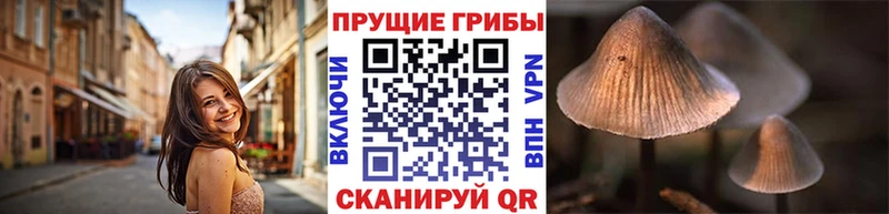 Галлюциногенные грибы мицелий  Мариинский Посад 