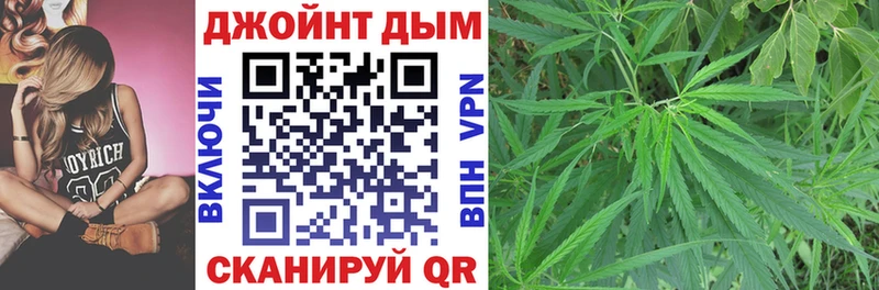 где продают   Мариинский Посад  Конопля сатива 